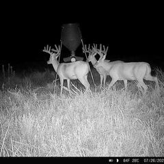 Photo by BR Outfitters