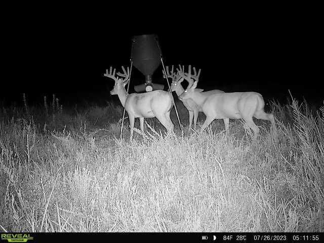 Enlarged photo by BR Outfitters