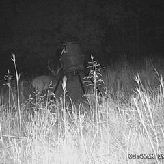 Photo by BR Outfitters