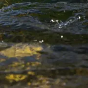 R.A. Legacy outfitters
