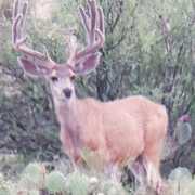 Let'er Rip Outfitters