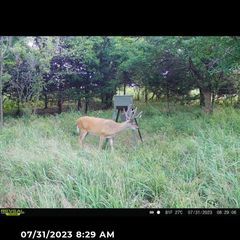 Photo by BR Outfitters