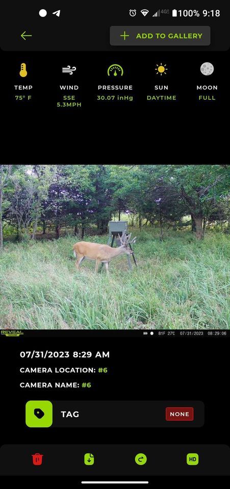 Enlarged photo by BR Outfitters