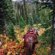 Hoback Peak Outfitters