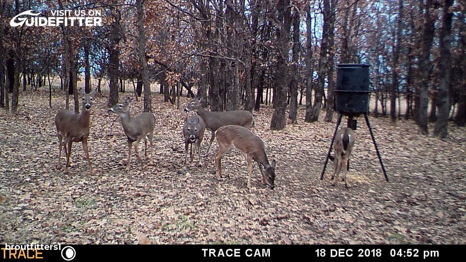 Enlarged photo by BR Outfitters