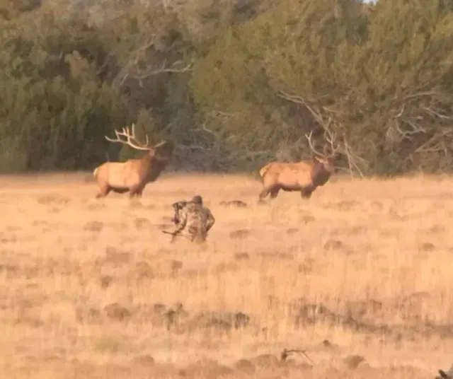 Optics cover Optics cover