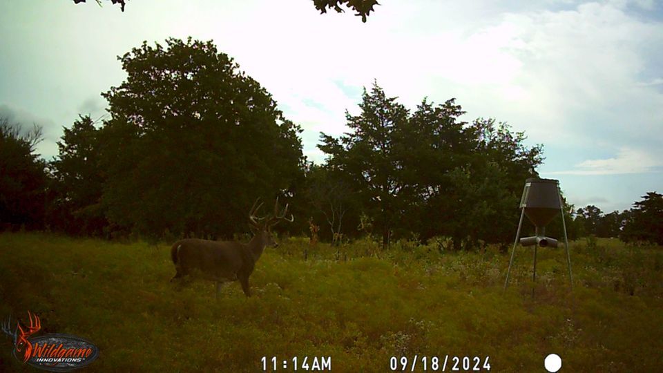 Enlarged photo by BR Outfitters