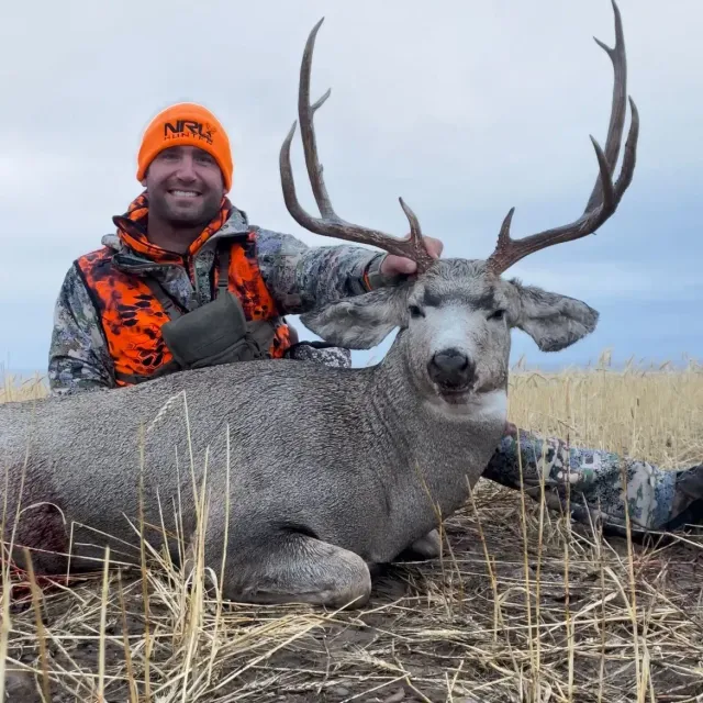 I have run Badlands bino harness for years and loved them...