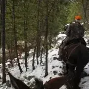 Buffalo Mountain Outfitters