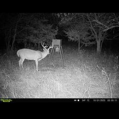 Photo by BR Outfitters