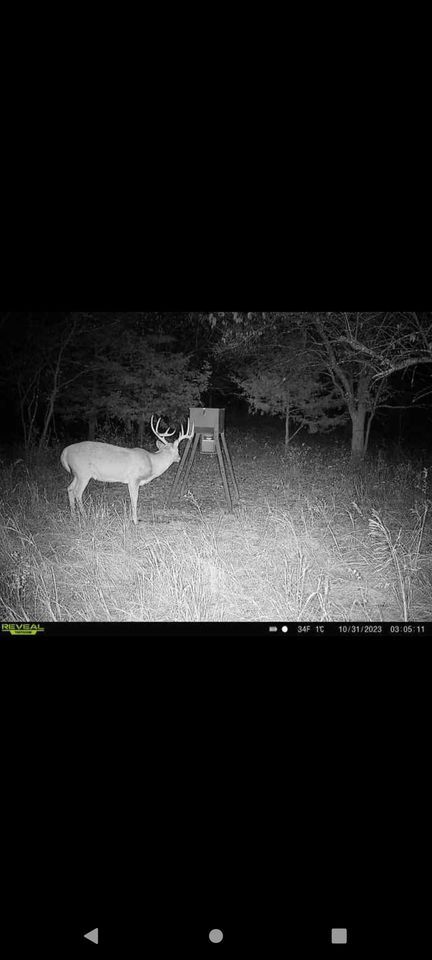 Enlarged photo by BR Outfitters