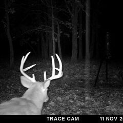 Photo by BR Outfitters