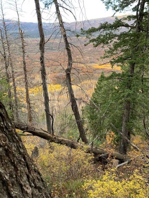 Utah Limited Entry Muzzleloader Elk