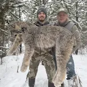Wild Tracks Lynx Hunts