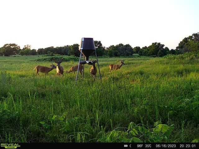 Enlarged photo by BR Outfitters