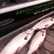 Absolute Angling Guide Service
