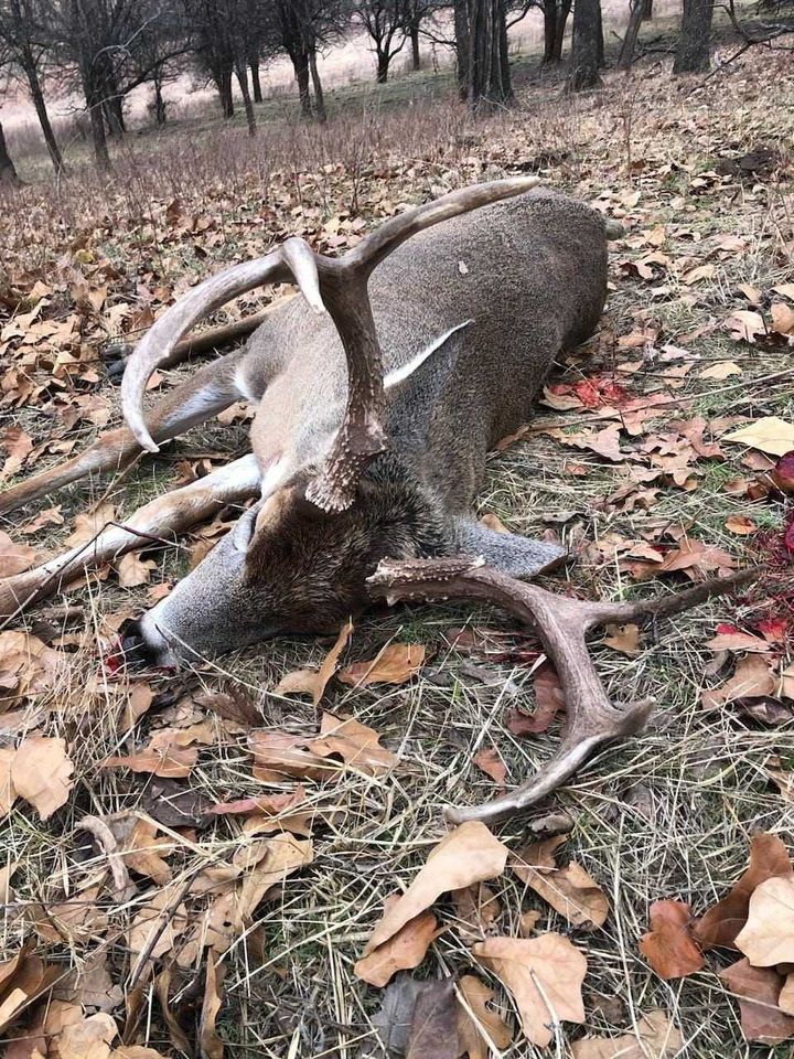 Enlarged photo by BR Outfitters