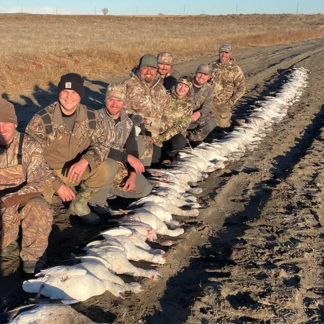 We are in our 5th season for spring snow goose hunting th...