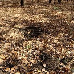 Photo by BR Outfitters