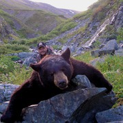 Bearfoot Adventures, LLC