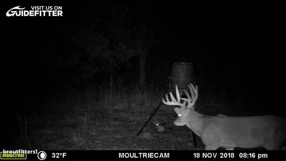 Enlarged photo by BR Outfitters