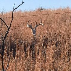 Photo by BR Outfitters