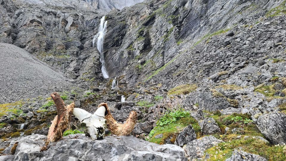 Enlarged photo by A-Team Outfitting