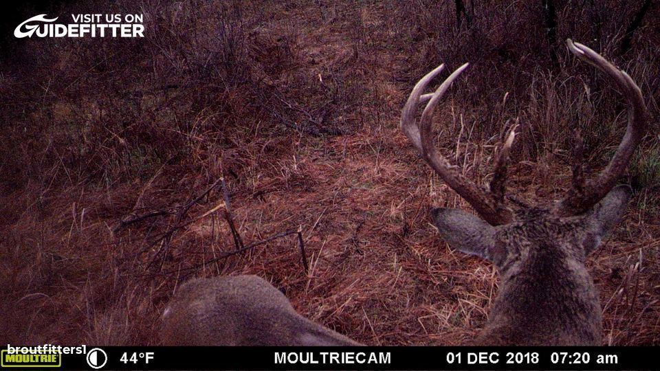 Enlarged photo by BR Outfitters