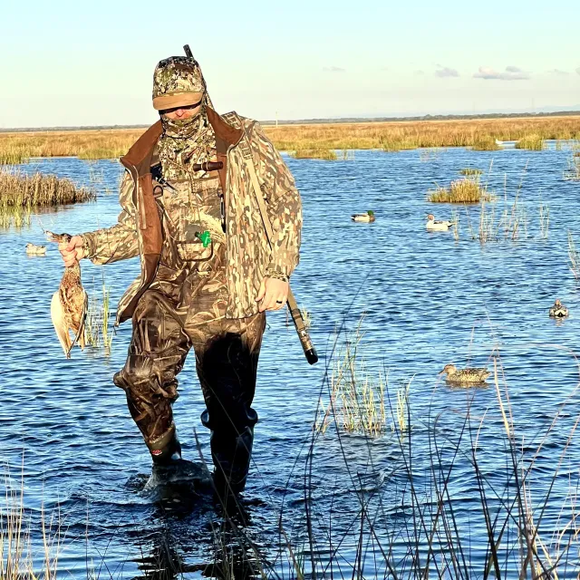 These decoys are almost perfect with just a few problems ...