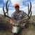 Wyoming Wildlife Outfitters  Muledeer,Whitetail,Antelope Hunts