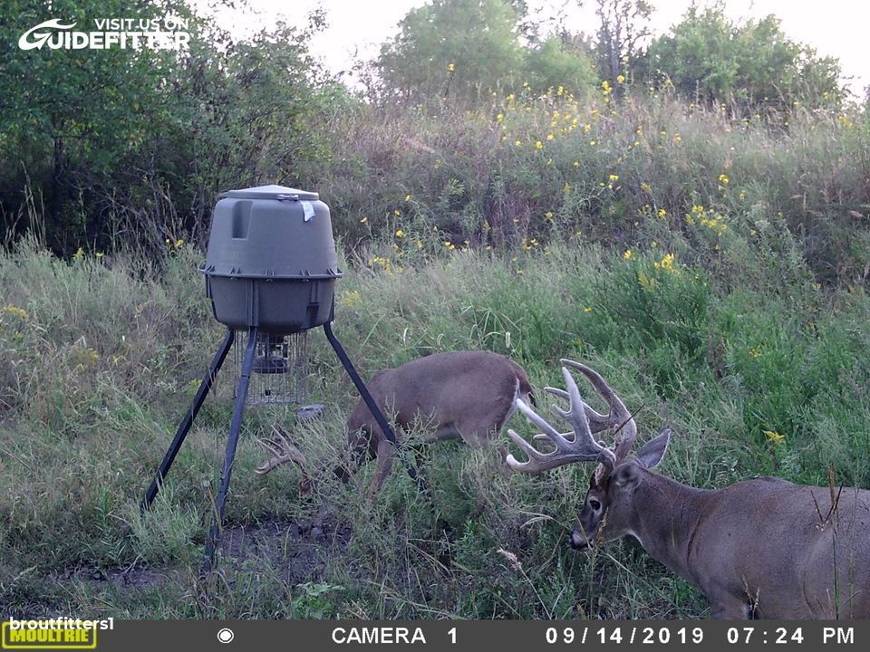 Enlarged photo by BR Outfitters