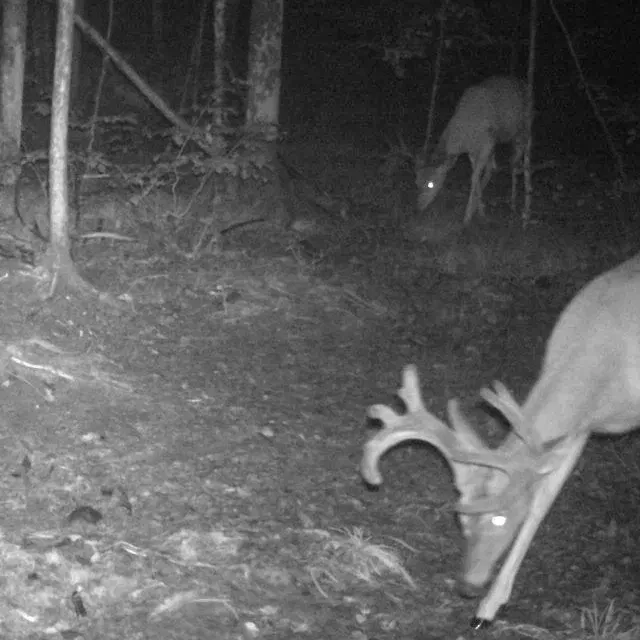 Review Even better than expected Guidefitter