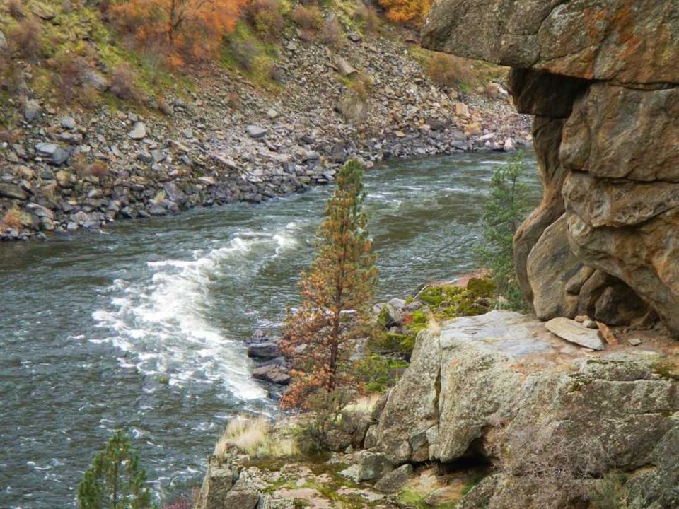 Enlarged photo by Wapiti River Guides