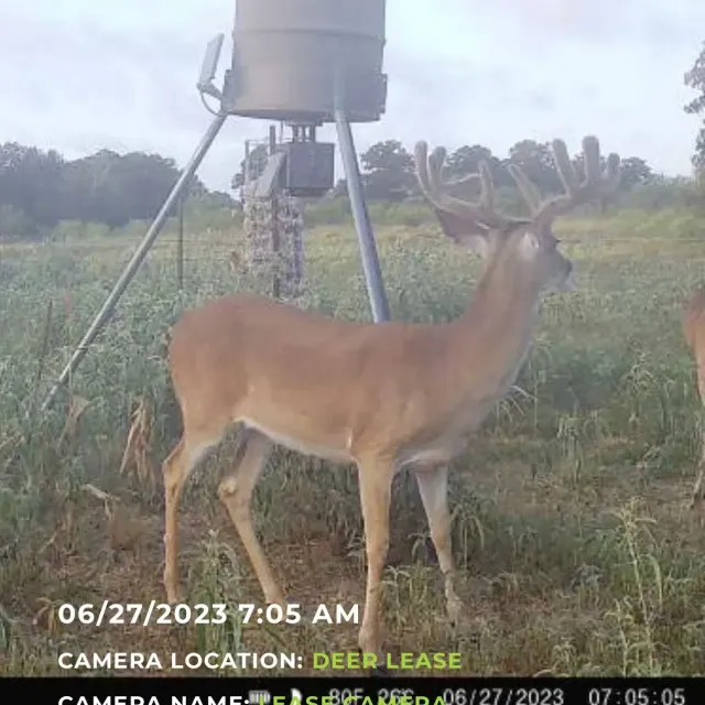 Camera works great and follows the KISS (keep it simple s...