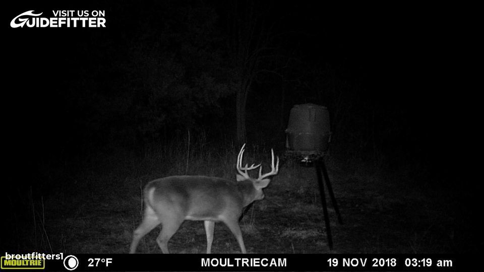 Enlarged photo by BR Outfitters