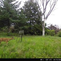 Photo by BR Outfitters