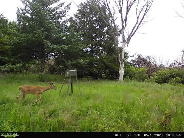 Enlarged photo by BR Outfitters