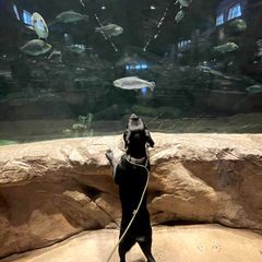 Photo by Waypoint Outfitters