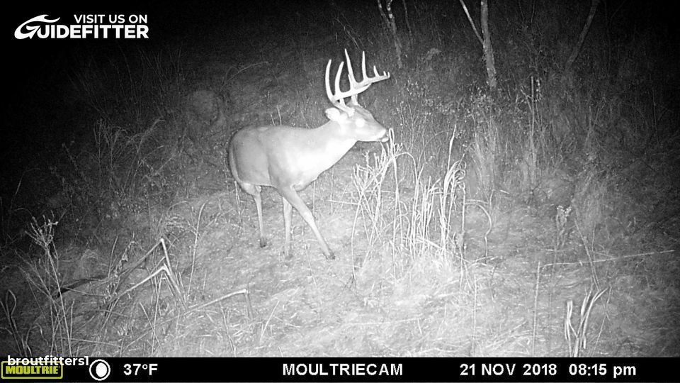 Enlarged photo by BR Outfitters