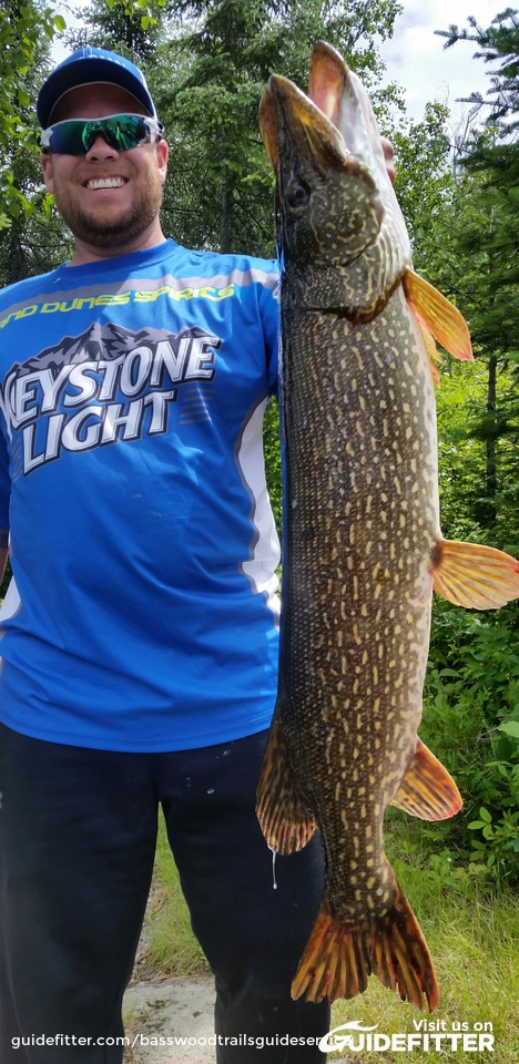 Enlarged photo by Basswood Trails Guide Service