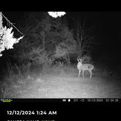 Photo by BR Outfitters