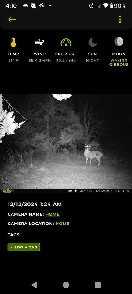Enlarged photo by BR Outfitters