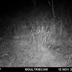 Photo by BR Outfitters