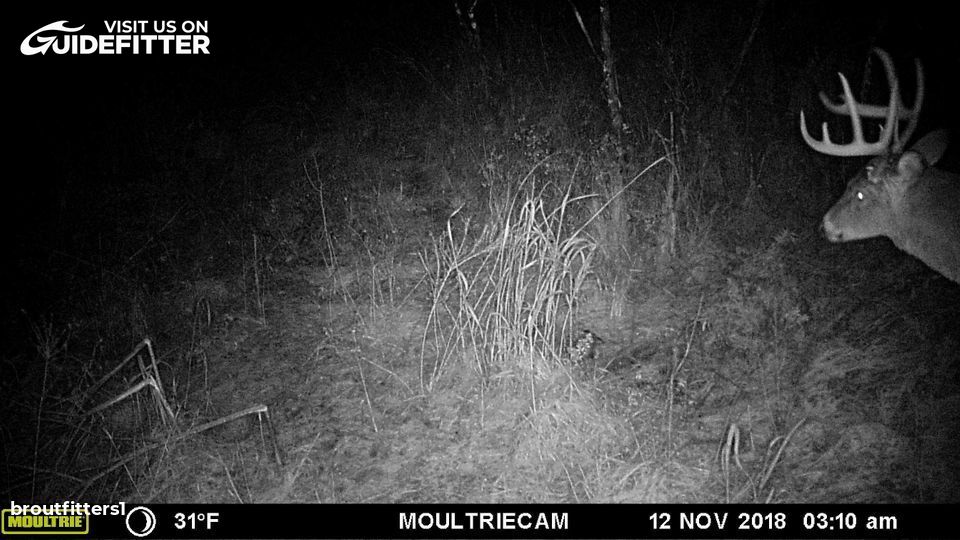 Enlarged photo by BR Outfitters