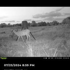 Photo by BR Outfitters