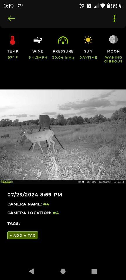 Enlarged photo by BR Outfitters