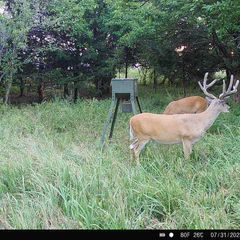 Photo by BR Outfitters