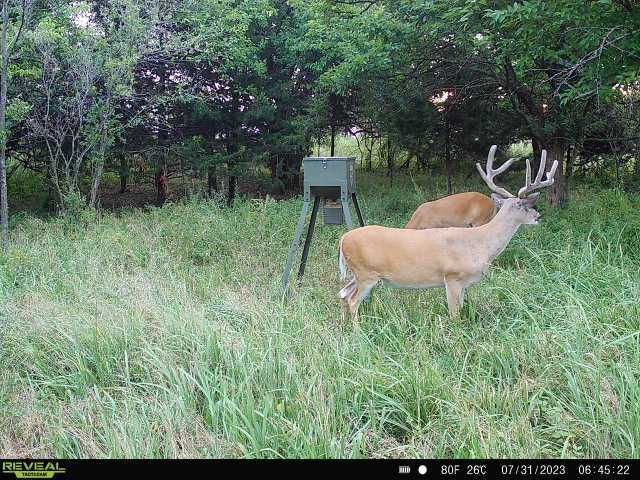 Enlarged photo by BR Outfitters