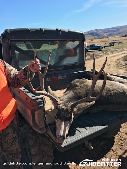 Cow Elk Hunt in Craig, Colorado | Ellgen Ranch Outfitters LLC