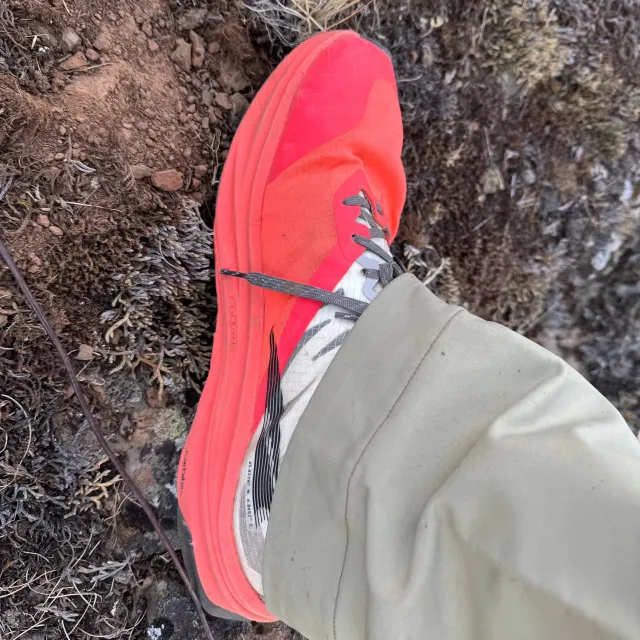 Having run Altra shoes for the better part of the last de...